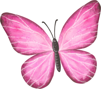 Pink Butterfly Insect